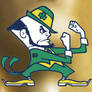 Notre Dame Fighting Irish Leprechaun