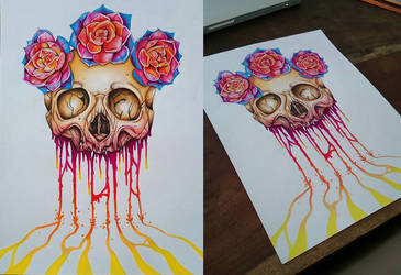 Colorful skull