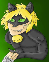 Chat Noir Grin