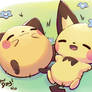 Pichu Day 2023