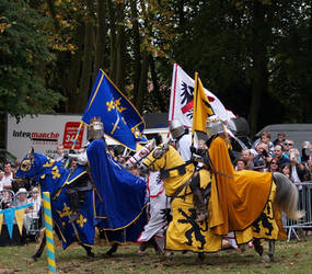 Parade near Paris 1