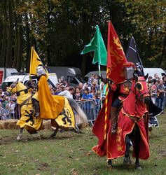 Parade near Paris 4