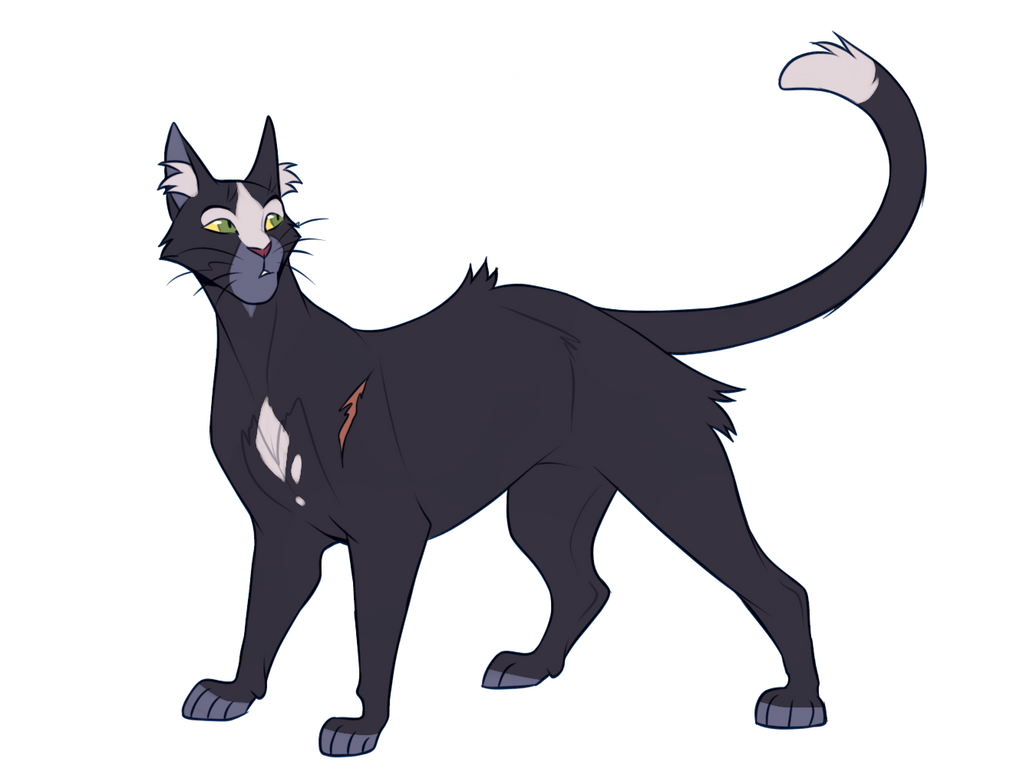 Warrior Cats] Ravenpaw Style Test REDO by dogabba on DeviantArt