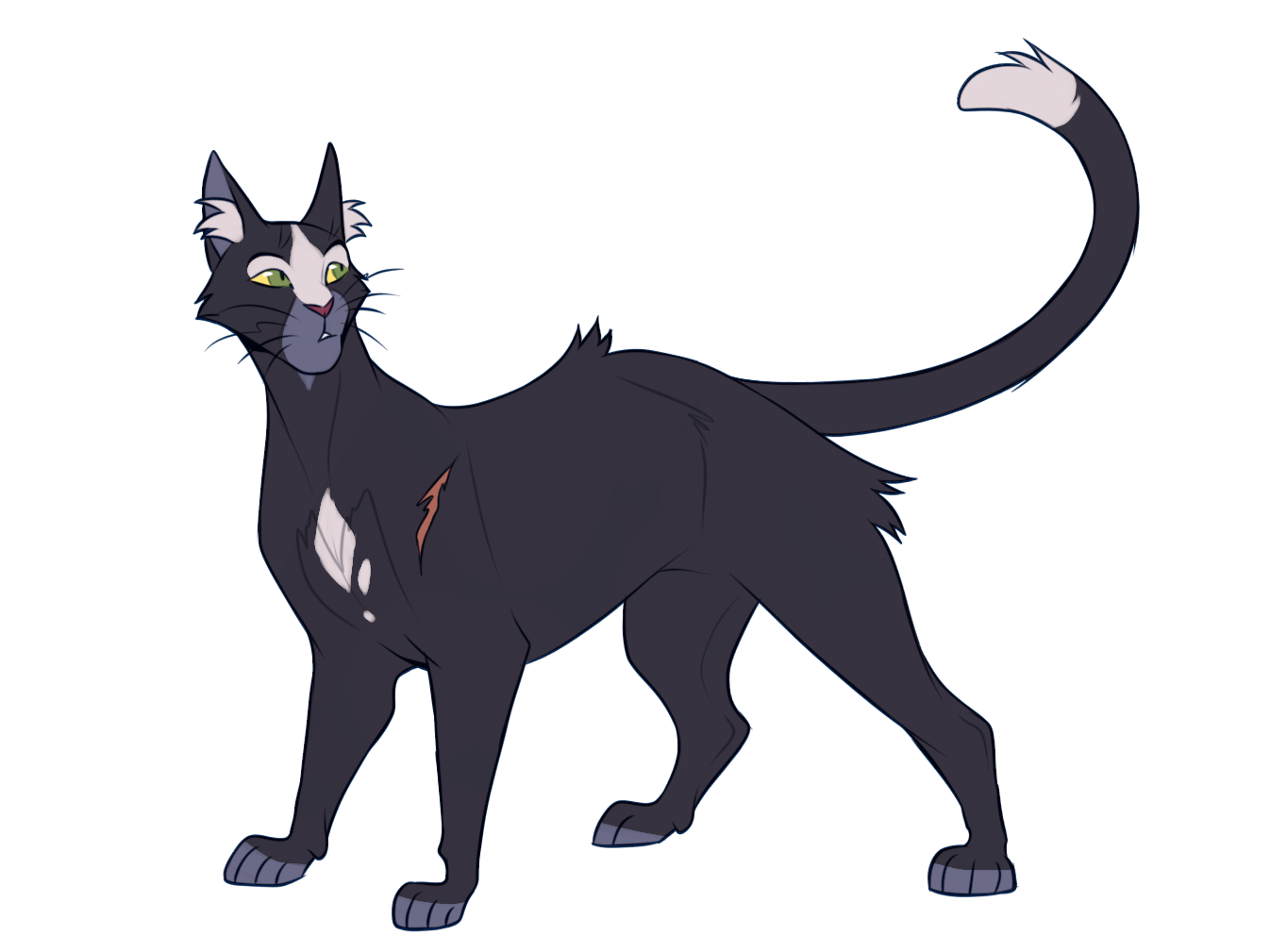 Ravenpaw  Warrior Cats