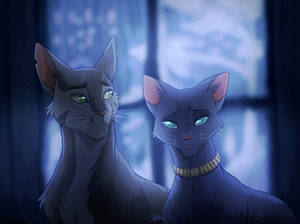 Francis and Felicity - Felidae Fanart