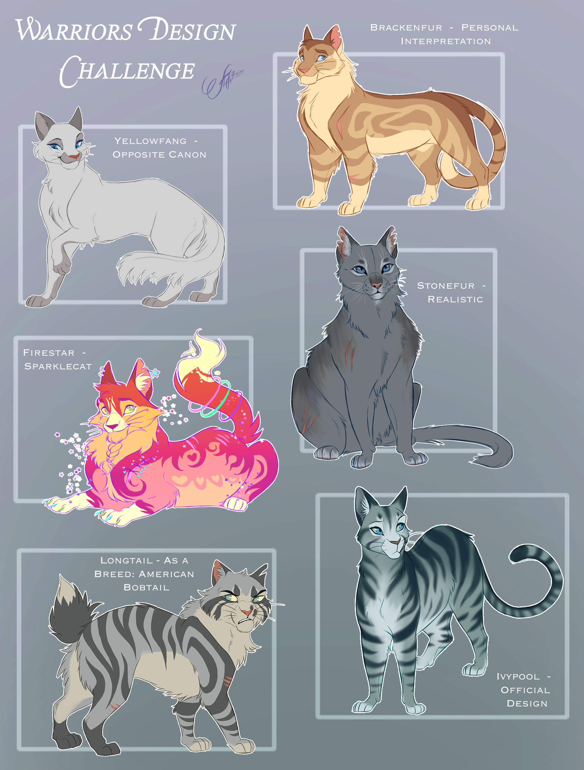 Warriors Cats Design Challenge by AngelDalet on DeviantArt