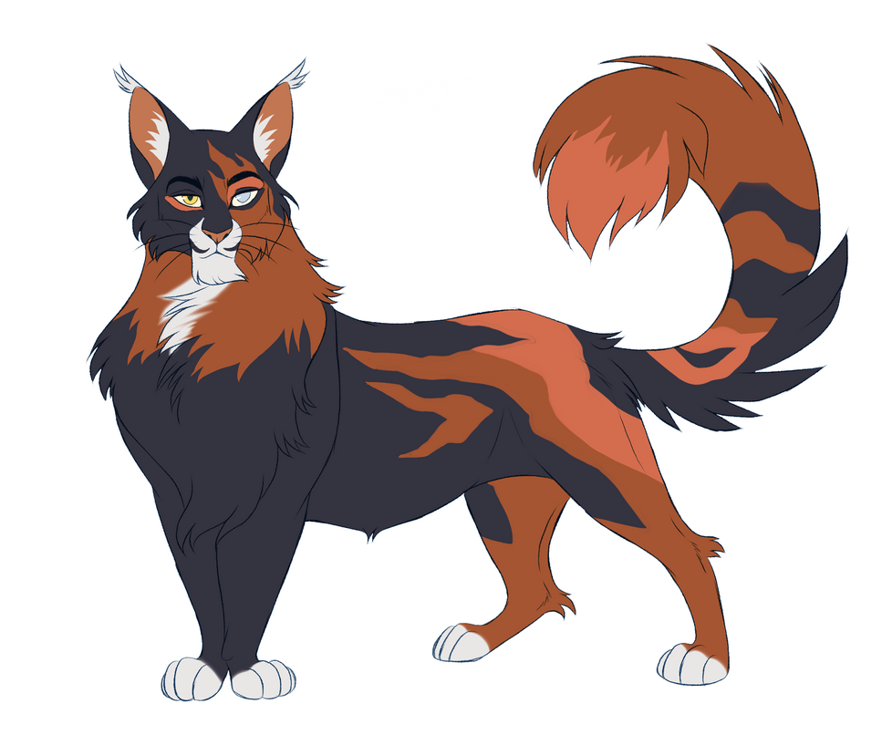 Kittens Sol Sol Design 2021 - Warriors Cats by AngelDalet on DeviantArt