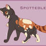 Spottedleaf design - Warriors Cats