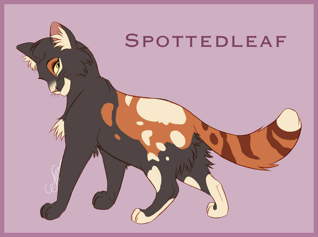 Spottedleaf Design Warriors Cats By AngelDalet On DeviantArt spottedleaf-design-warriors-cats-by-angeldalet-on-deviantart