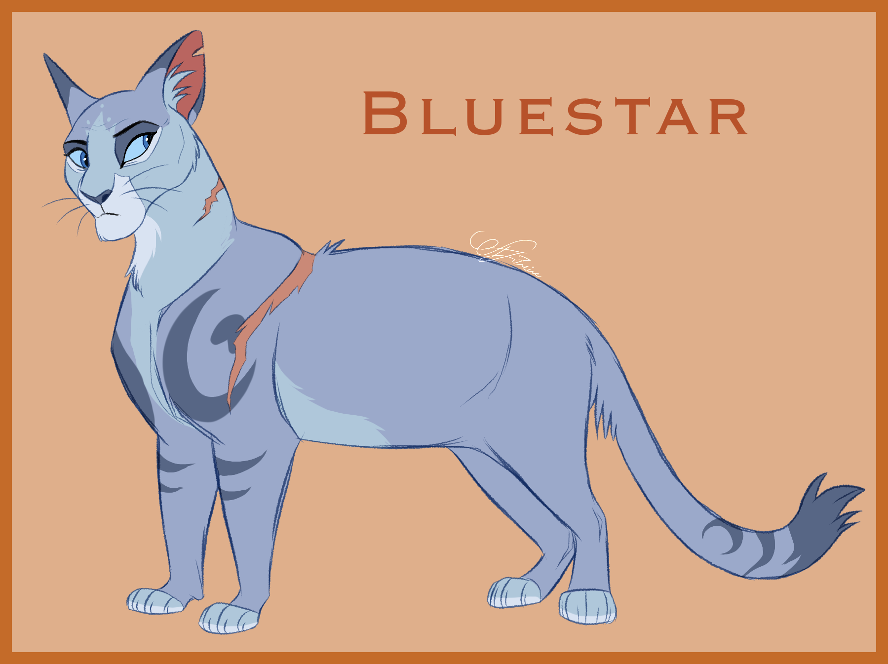 Warrior Cat Drawings Bluestar warrior-cat-drawings-bluestar
