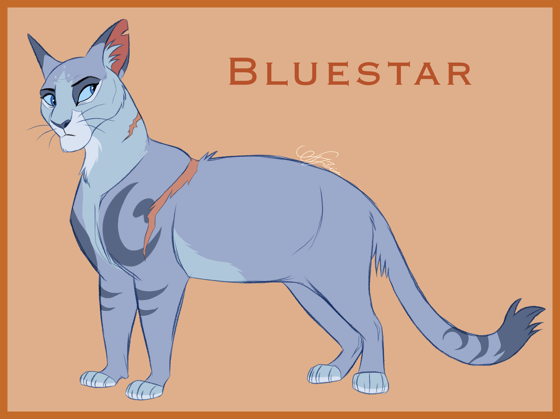 Are You Bluestar or Firestar? (1)  Warrior cats, Warrior cats art, Warrior  cat drawings