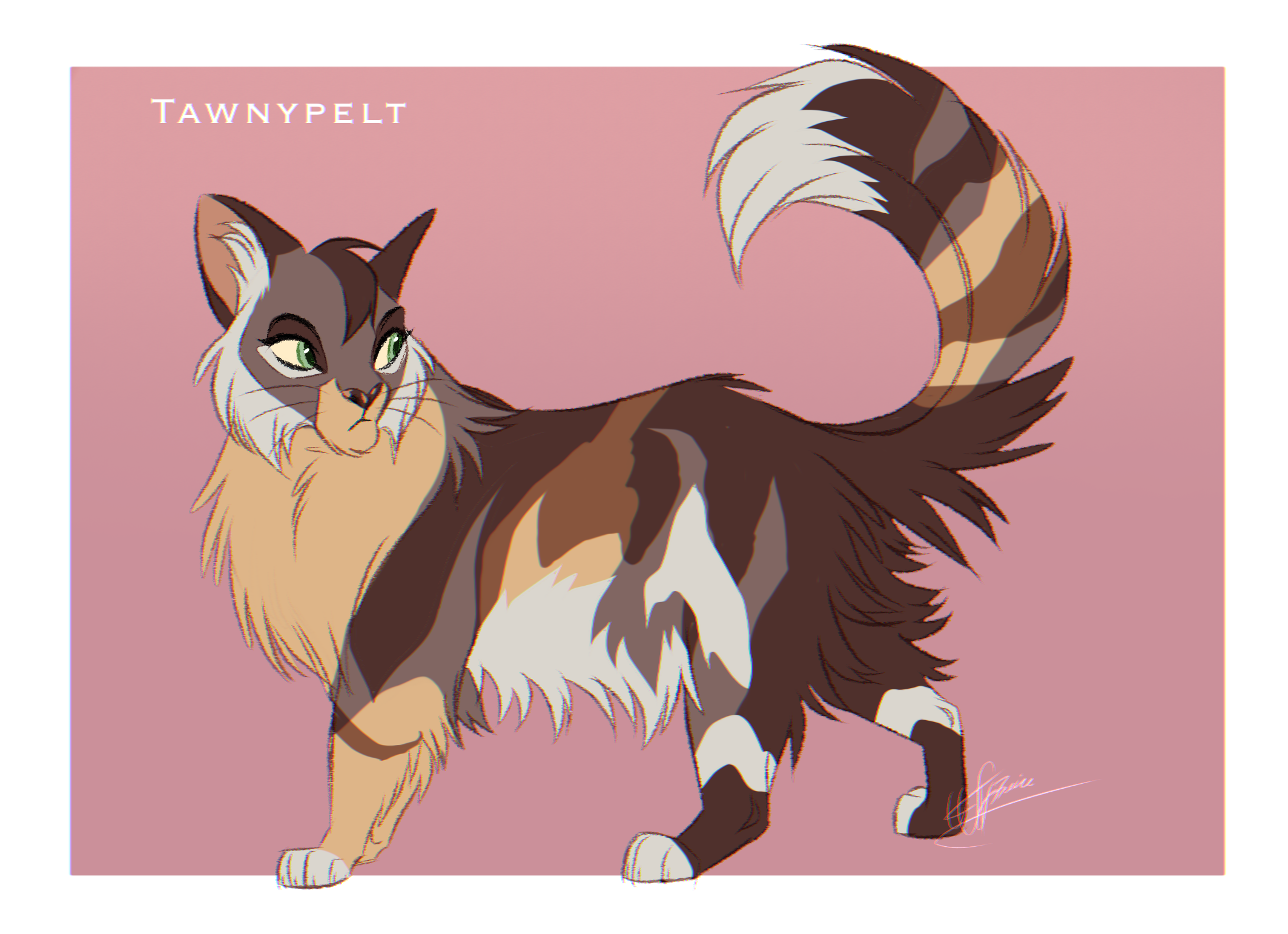 Tawnypelt design - Warriors Cats