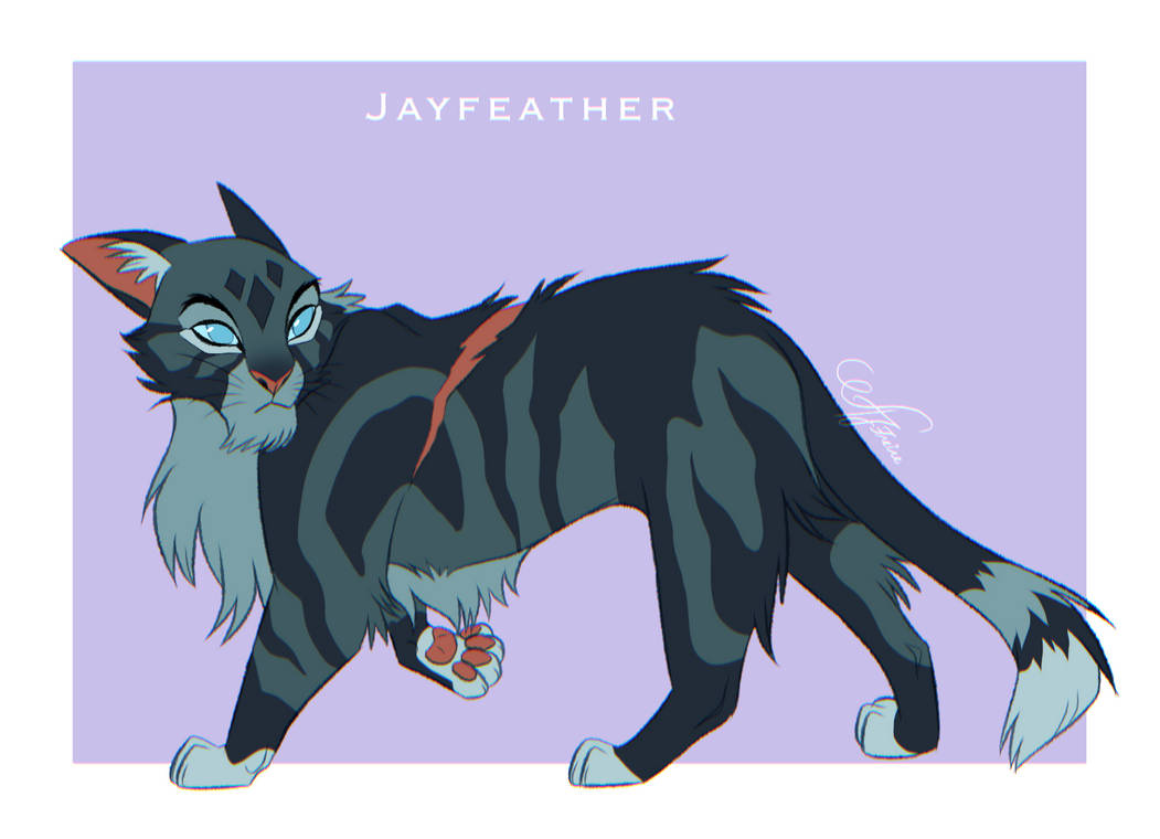 jayfeather (redo) by Nizumifangs  Warrior cats art, Warrior cats