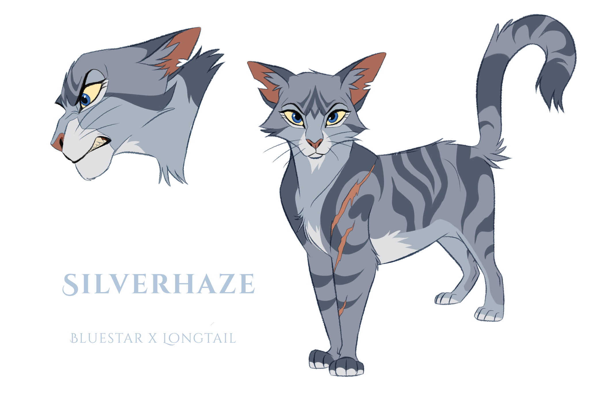 Warriors Cats Design Challenge by AngelDalet on DeviantArt