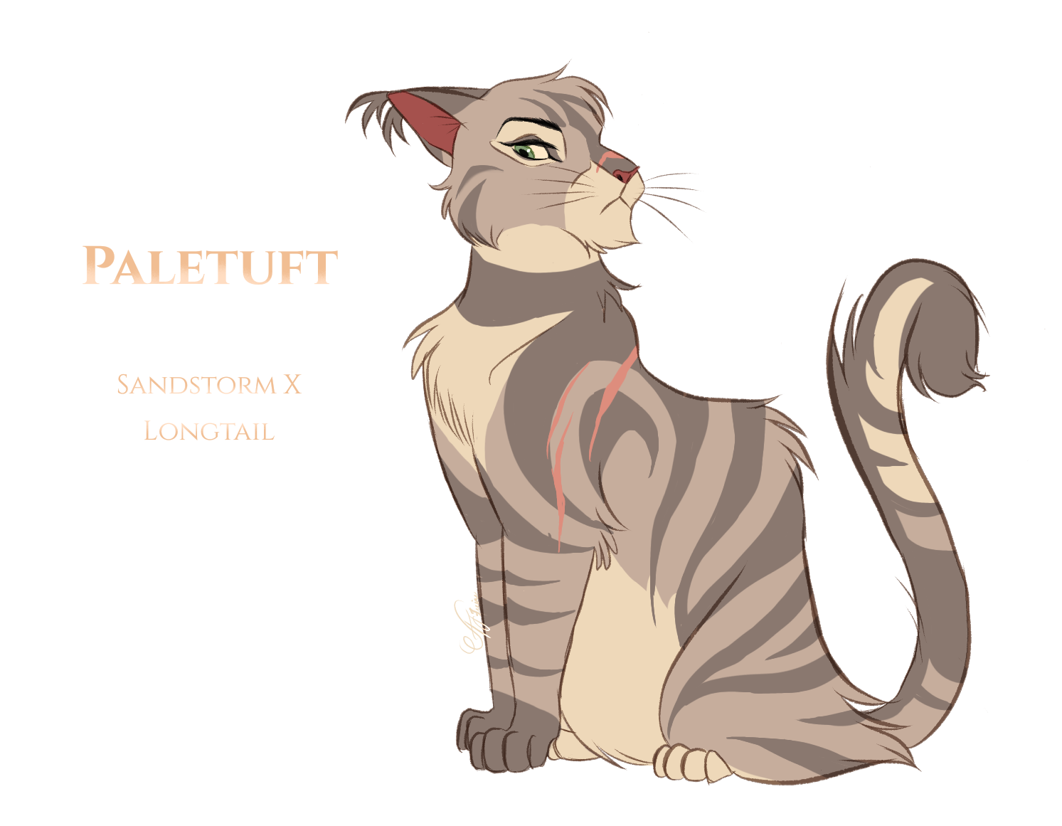 Warriors Cats Design Challenge by AngelDalet on DeviantArt