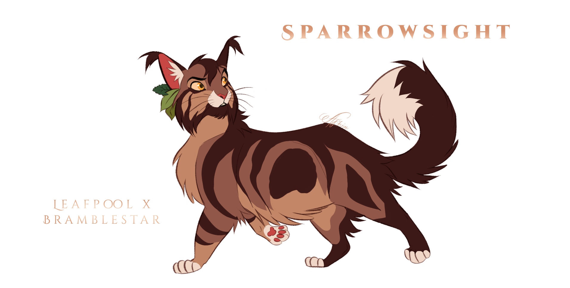 Warriors Cats Design Challenge by AngelDalet on DeviantArt