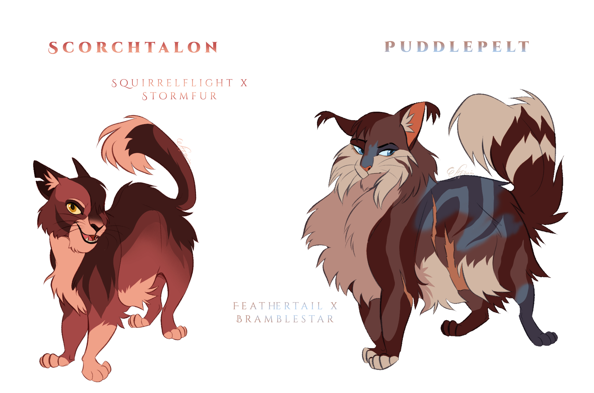 Warriors Cats Design Challenge by AngelDalet on DeviantArt