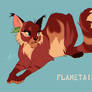 Flametail design - Warriors Cats