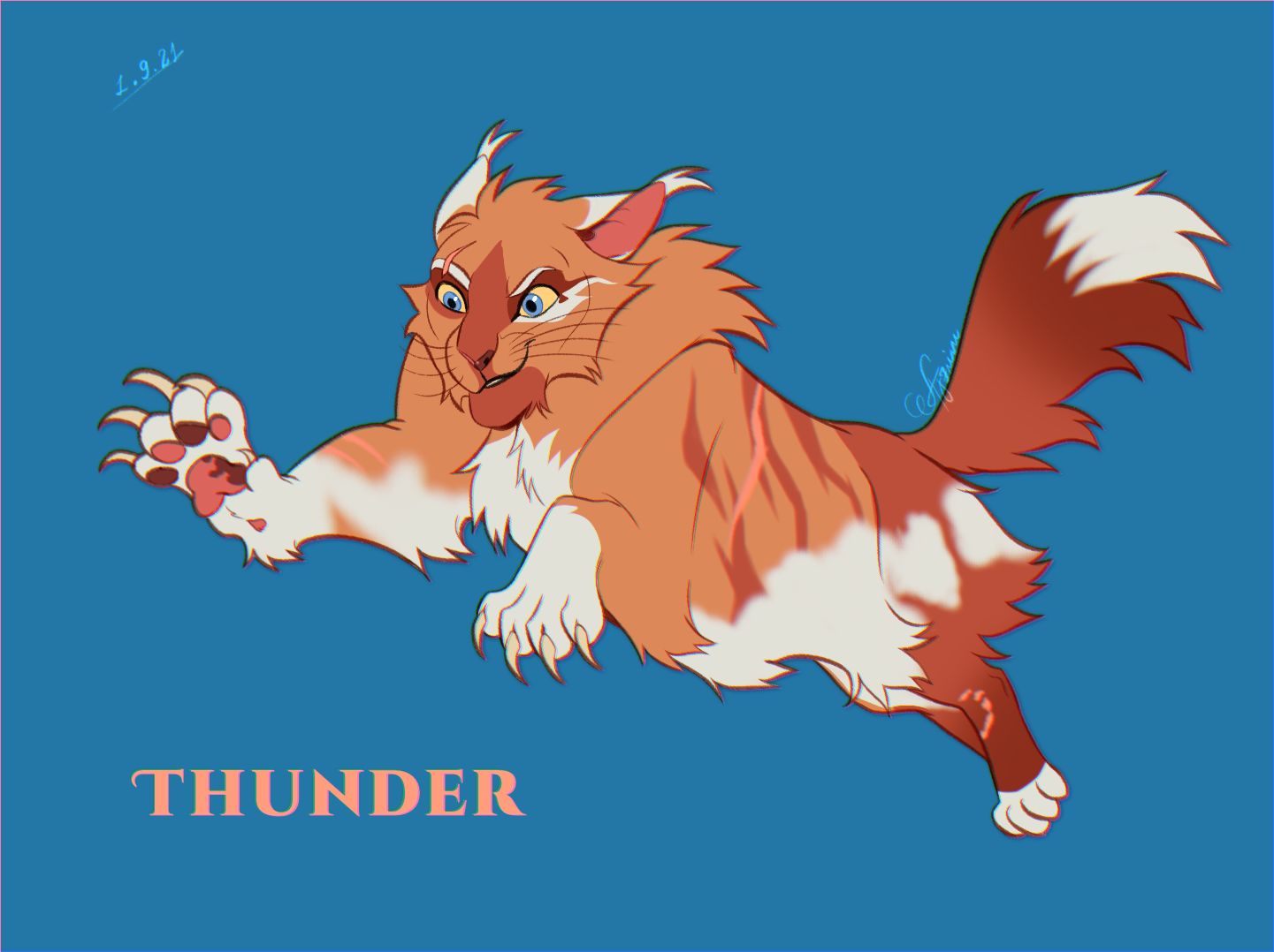 Warriors Cats Design Challenge by AngelDalet on DeviantArt