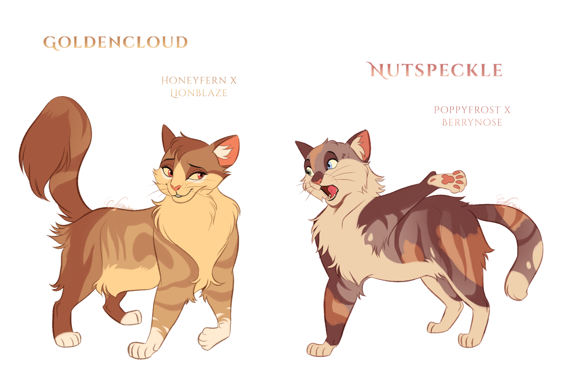 Warriors Cats Design Challenge by AngelDalet on DeviantArt