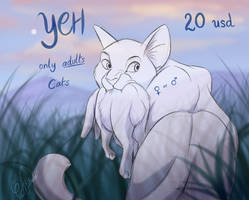 ( CLOSED ) Windclan Cat YCH