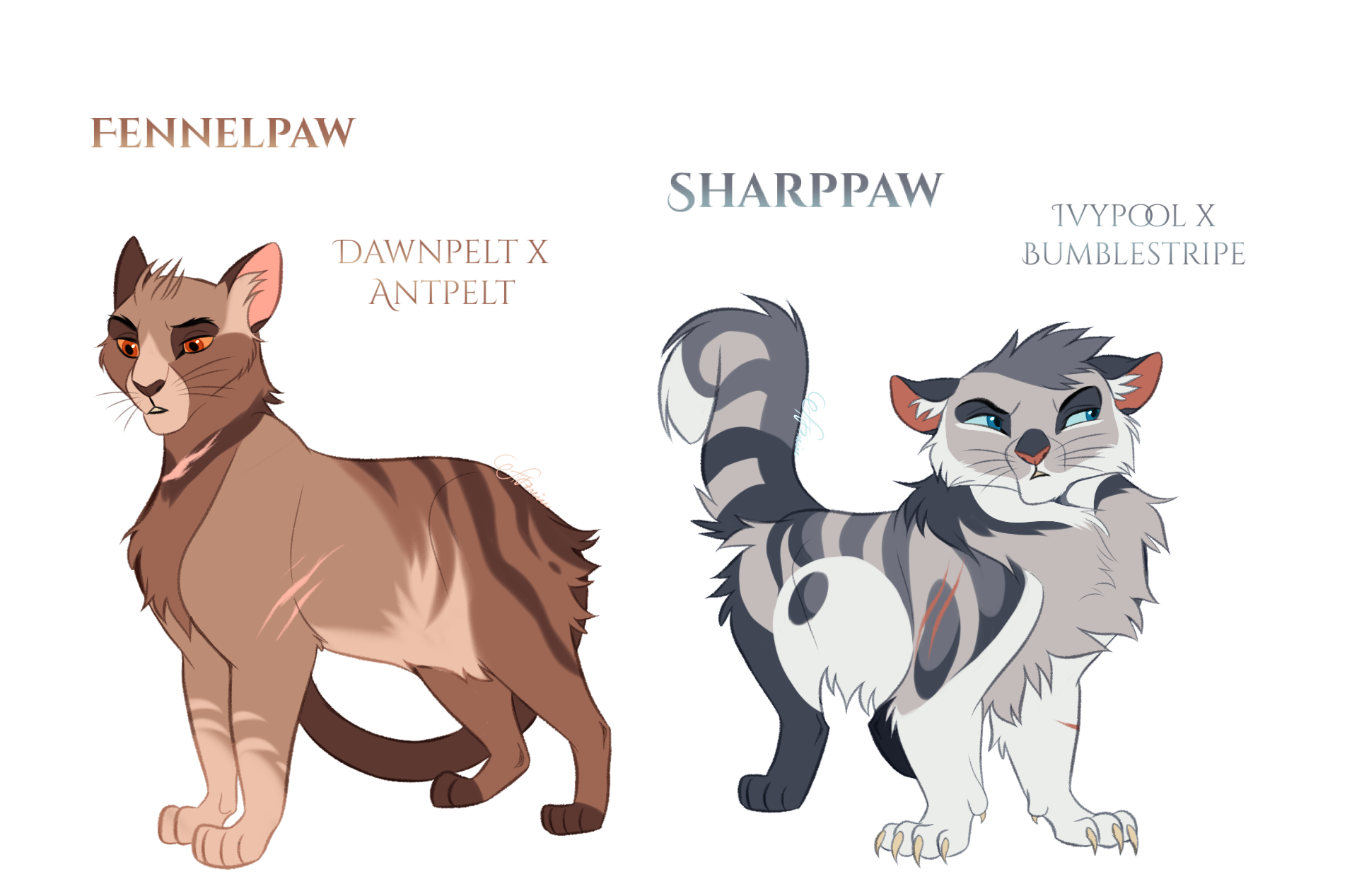 Warriors Cats Design Challenge by AngelDalet on DeviantArt