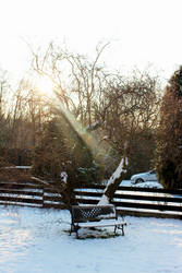 Winter bench