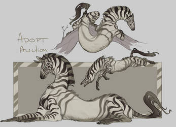 Striped Zebra Hybrid Adopt Auction *CLOSED*