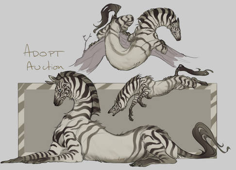 Striped Zebra Hybrid Adopt Auction *CLOSED*