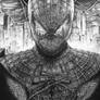 The Amazing Spiderman - Movie Poster Pen Drawing