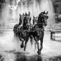 170916 Donaueschingen Reitturnier 562