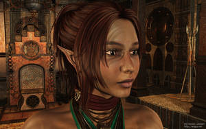 Portrait of an elf