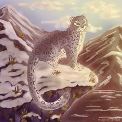 Snow leopard