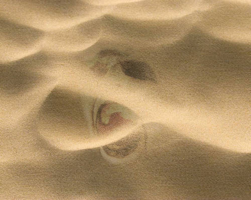 Man In The Sand