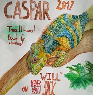Cavetown's chameleon (Capsar) for president !!