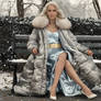 Park Bench Winter (4)