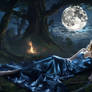 Sleeping With Wolves