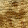 Stained 01