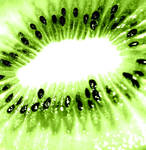 Kiwi by Stock7000