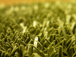 Plastic Grass