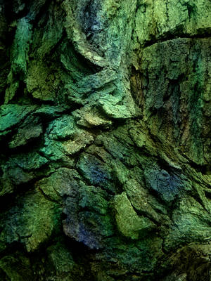 Dragon's Bark 2 by Stock7000 Dragon's Bark 2 by Stock7000