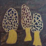 Morel Mushrooms