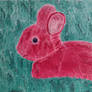 Bunny Rabbit