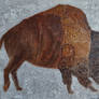 Bison