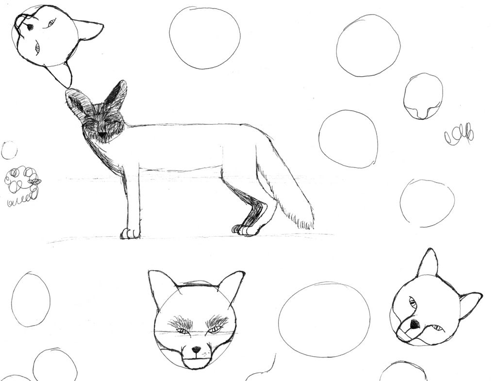 More Fox Sketches