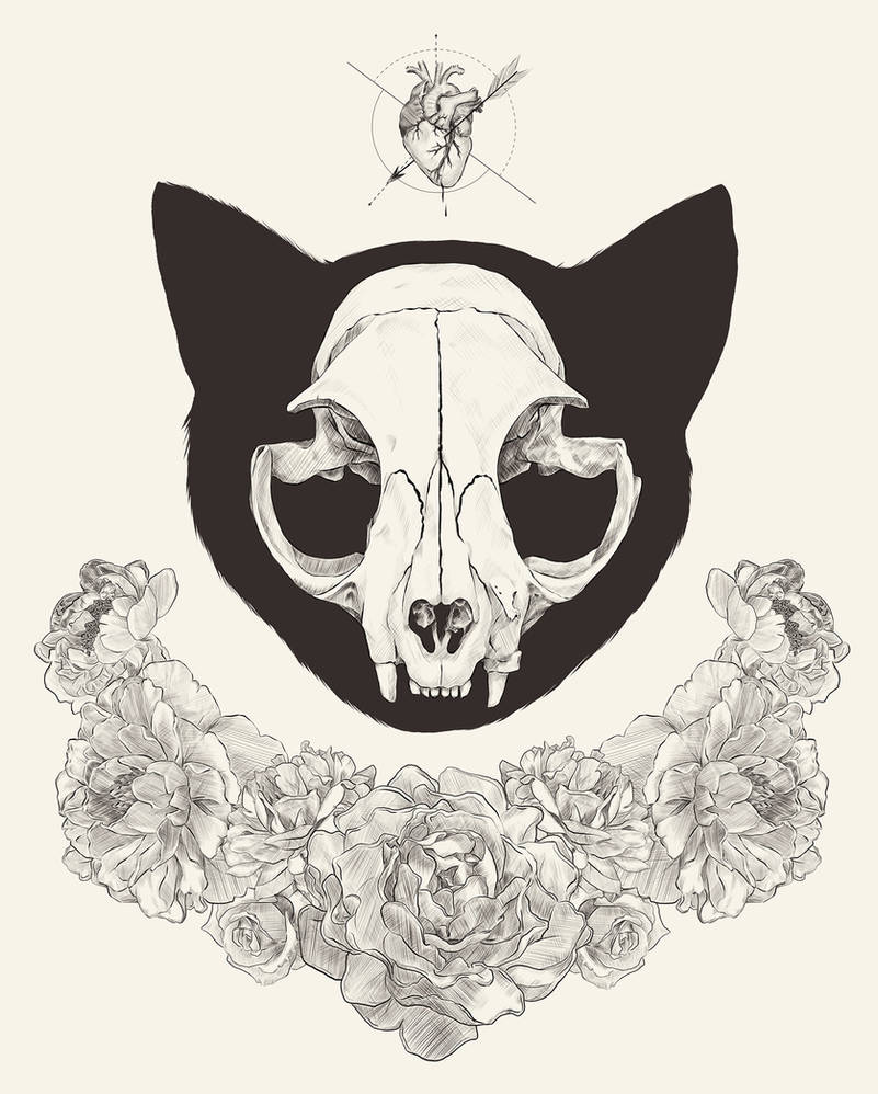 Cat Skull