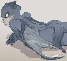 Akuma-kun: The Bat cat