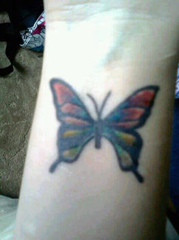 Butterfly Colour