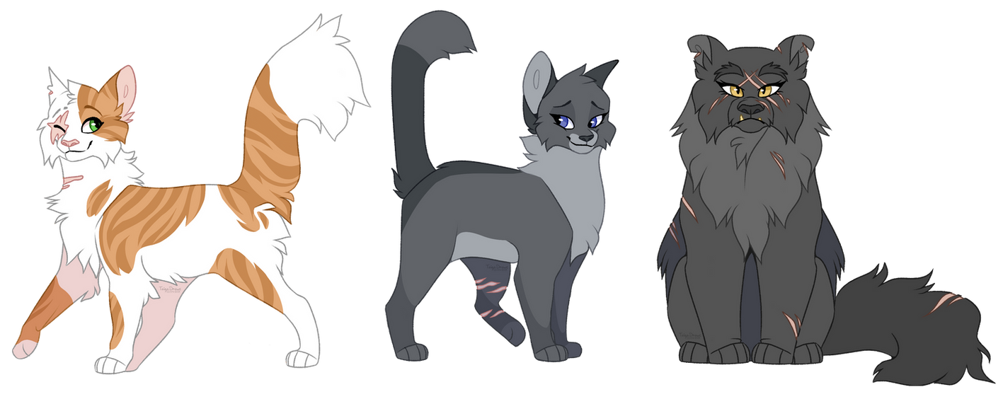Warrior Cat Ladies by TaigaHuskii on DeviantArt