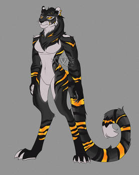 OC Tygrys